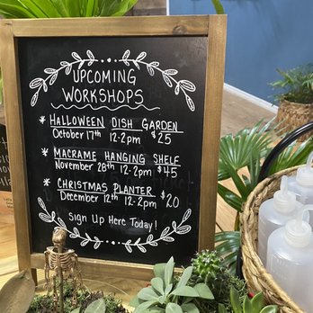 Lets Plant It - Nurseries & Gardening Near Me - Melbourne, Florida