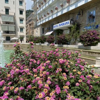 Hotel Panorama Maiori - Beautiful flowers in front of dirty hotel fountain - Hotels Near Me - Maiori, SA Hotel Panorama Maiori - Beautiful flowers in front of dirty hotel fountain - Hotels Near Me - Maiori, SA