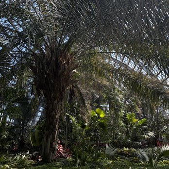 Garfield Park Conservatory - Parks Near Me - Chicago, Illinois Garfield Park Conservatory - Parks Near Me - Chicago, Illinois