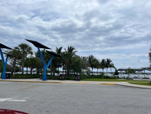 Manatee Lagoon by null