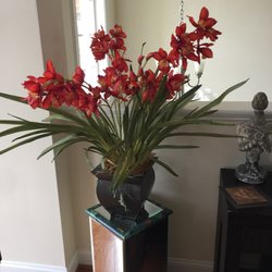 Imi Furniture - Bought this silk arrangement under the 24 hour try before you buy. What do you think?