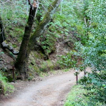 Novitiate Park - Hiking Near Me - Los Gatos, California Novitiate Park - Hiking Near Me - Los Gatos, California