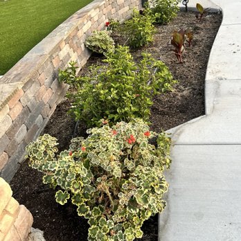 Dohi Landscape Design - Landscape Architects or Designers Near Me Dohi Landscape Design - Landscape Architects or Designers Near Me