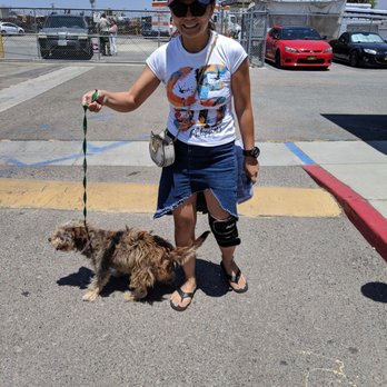 Bubble Doggie - Picking up Munchie from the shelter.  This was before his grooming. - Pet Groomers Near Me - La Mirada, California