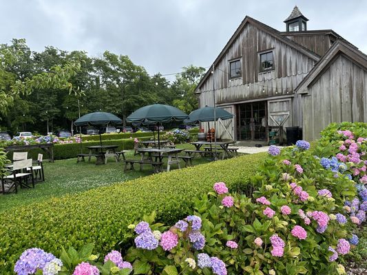 Beach Plum Farm by null