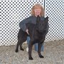 Photo of Milford Goshen Kennel Inc