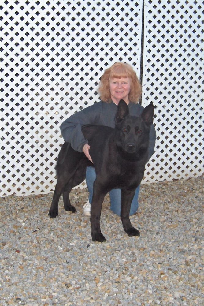 Milford Goshen Kennel Inc - pet boarding facility in Goshen, OH