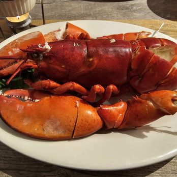 Chef Tony's Fresh Seafood - 1.5lb Whole Lobster - Seafood Near Me - Bethesda, Maryland