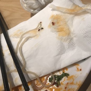 GB Hand-pulled Noodles - Black dot next to the noodles lays a fly that died wanting to taste GB hand pulled noodles. - Chinese Near Me - Toronto, Ontario GB Hand-pulled Noodles - Black dot next to the noodles lays a fly that died wanting to taste GB hand pulled noodles. - Chinese Near Me - Toronto, Ontario