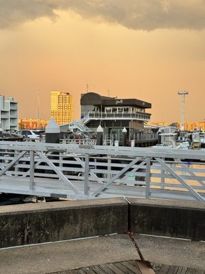 Pier 6 by null