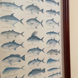 Barracuda Hotel