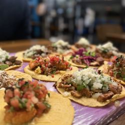Curious Cantina - Taco Plate that comes with 12 street tacos