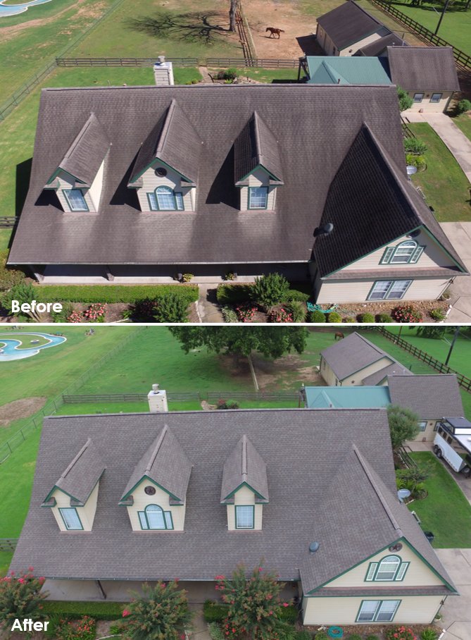 Slide of Slime Busters