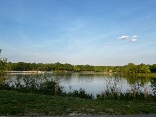 Lake Artemesia Natural Area by null