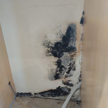 Maintenance Work 1 - Water damage and mold, clean up, removal replacement of wood and drywall. - Handyman Near Me Maintenance Work 1 - Water damage and mold, clean up, removal replacement of wood and drywall. - Handyman Near Me