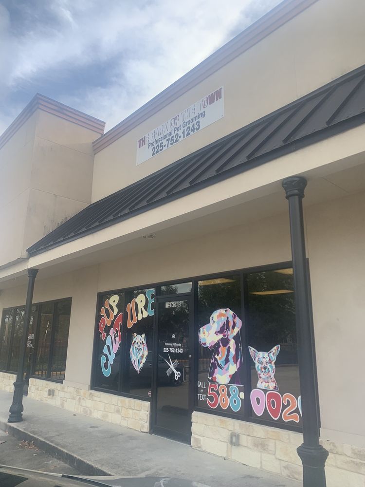 PUP CULTURE 2565 O'Neal Ln, Baton Rouge, Louisiana Pet Groomers