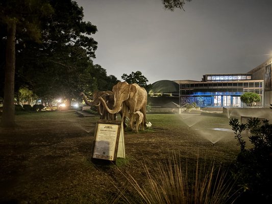 Hermann Park by null