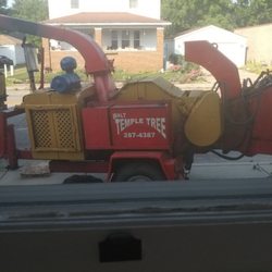 Walt Temple Tree - Chipper