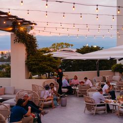 Ivy Rooftop