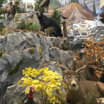 Cabela's - Outdoor Gear Near Me - Lexington, Kentucky