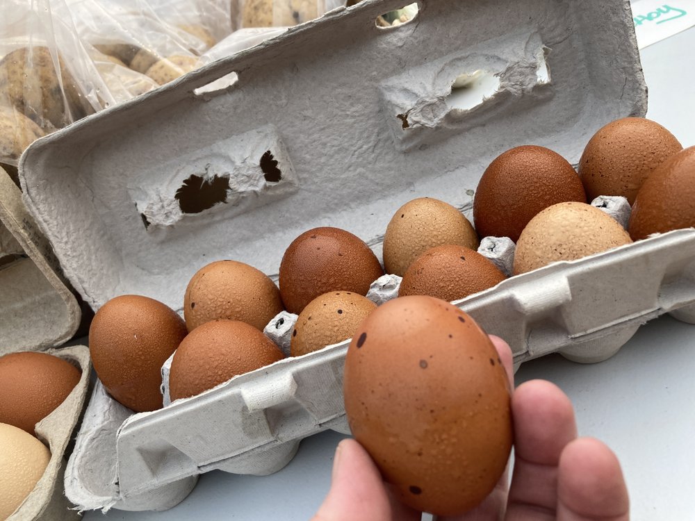 Food from Vermillion Area Farmers Market