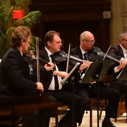Art-Strings Ensembles - Art-Strings go carbon!