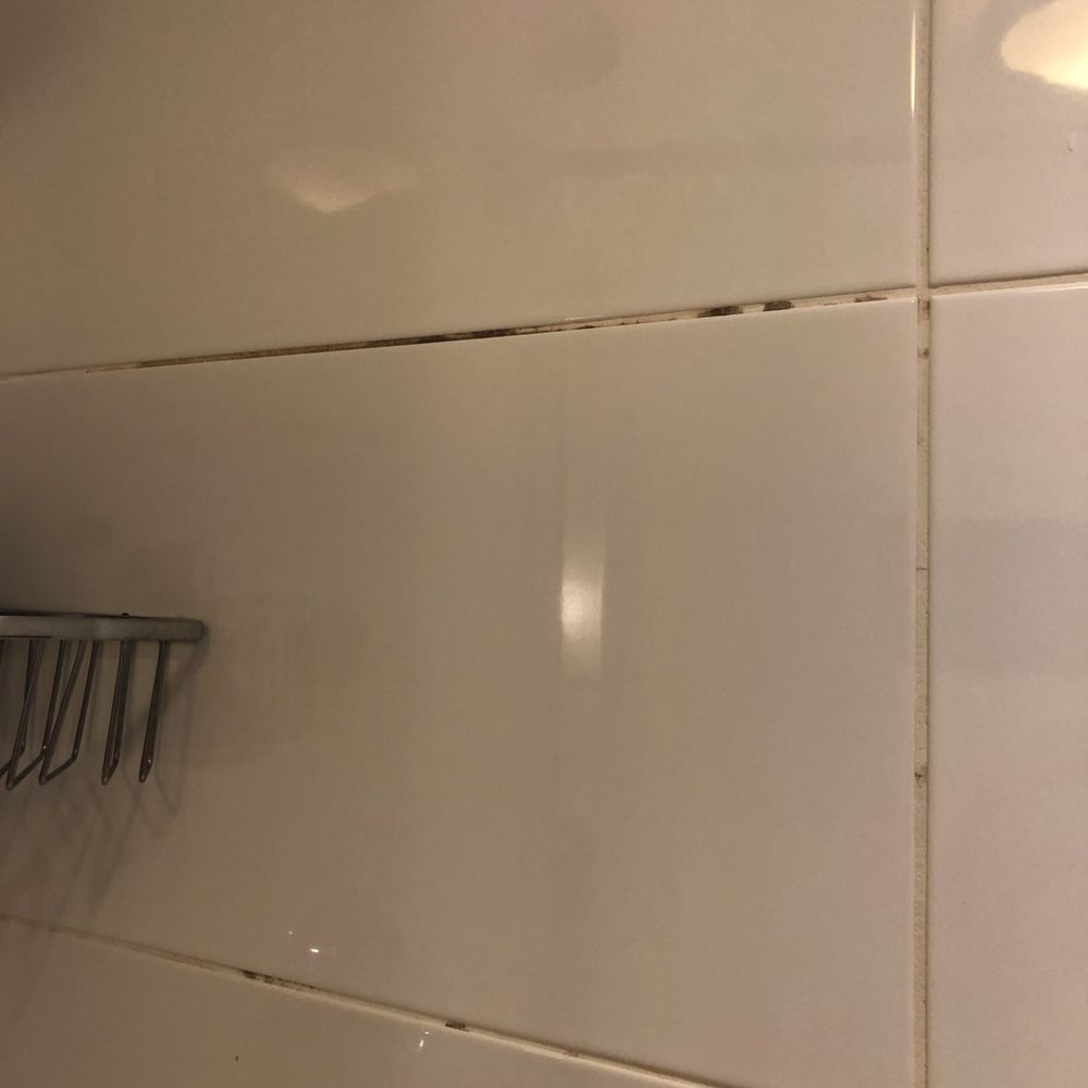 Stanneylands Hotel - Dark grout in the shower. I'm sure a quick spray bleach would brighten this up! - Hotels Near Me - Wilmslow, XGM