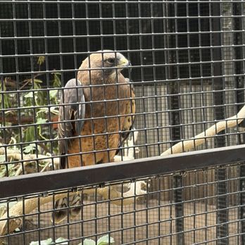 OC Zoo Irvine Regional Park - Parks Near Me - Orange, California OC Zoo Irvine Regional Park - Parks Near Me - Orange, California