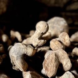 Les Catacombes de Paris