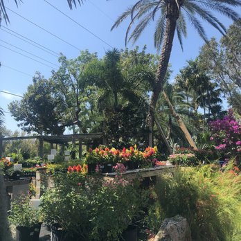 Island Home - Nurseries & Gardening Near Me - Tavernier, Florida