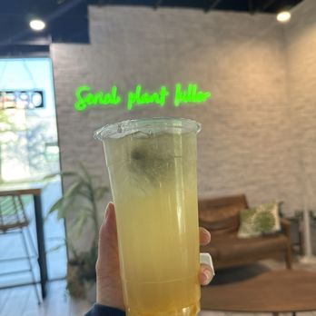Cafe Mollie - Yuzu peach tea. Yum. - Coffee & Tea Near Me - Phoenix, Arizona