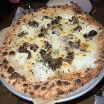 OLIVIA - Funghi pizza - Italian Near Me - Tampa, Florida OLIVIA - Funghi pizza - Italian Near Me - Tampa, Florida