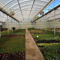 Abbott Creek Nursery