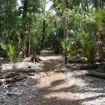 Hontoon Island State Park - Parks Near Me - DeLand, Florida Hontoon Island State Park - Parks Near Me - DeLand, Florida