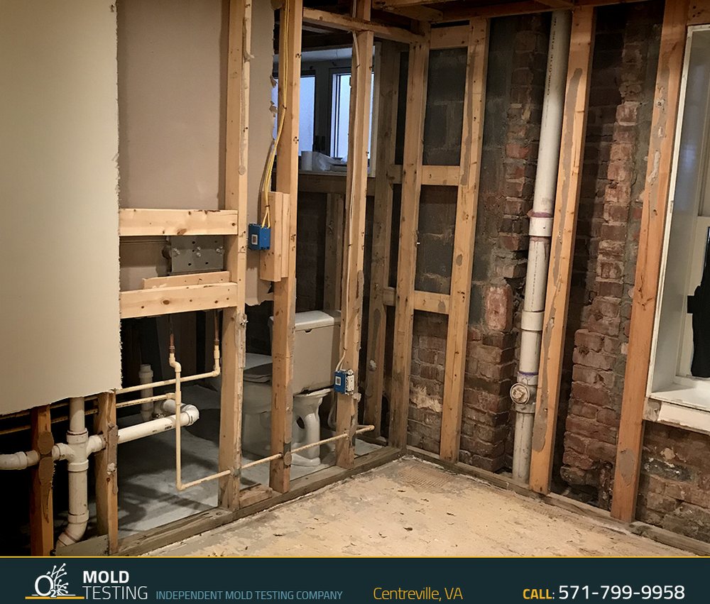 O2 Mold Testing - Centreville - mold inspector in Centreville, VA