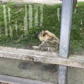 Toronto Zoo - Zoos Near Me - Toronto, Ontario