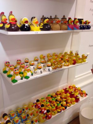 Amsterdam Duck Store by null