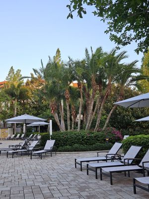 Marriott's Lakeshore Reserve by null
