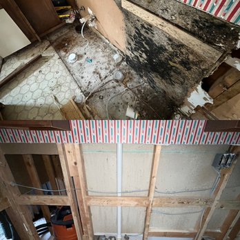 Texas License Professional - Licensed in the State of Texas for Mold Remediation and Mold Testing. - Environmental Testing Near Me - Austin, Texas Texas License Professional - Licensed in the State of Texas for Mold Remediation and Mold Testing. - Environmental Testing Near Me - Austin, Texas