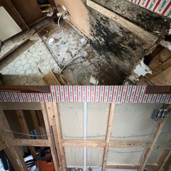 Texas License Professional - Licensed in the State of Texas for Mold Remediation and Mold Testing.