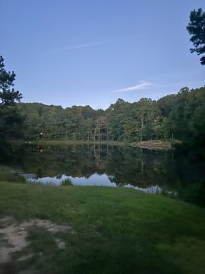 Postcard Cabins Asheboro, Outdoor Collection by Marriott Bonvoy by null