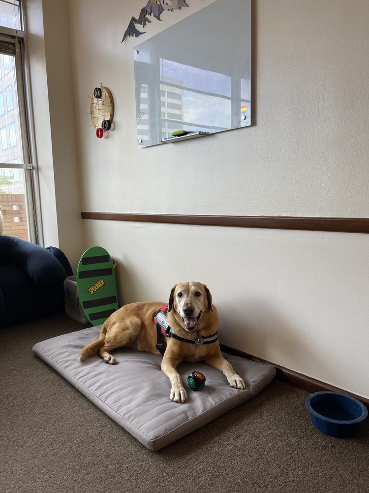 Root to Rise Family Therapy - grief counselor in Dallas, TX