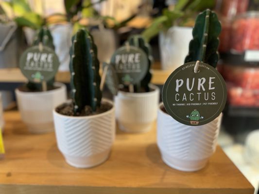 Whole Foods Market by null