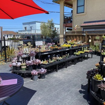 Seascapes Garden Center - Nurseries & Gardening Near Me - Half Moon Bay, California