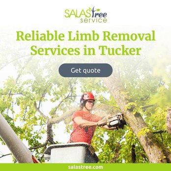 Salas Tree Service - 7_Salas Tree Service_Reliable Limb Removal Services in Tucker.jpg - Tree Services Near Me - Tucker, Georgia Salas Tree Service - 7_Salas Tree Service_Reliable Limb Removal Services in Tucker.jpg - Tree Services Near Me - Tucker, Georgia
