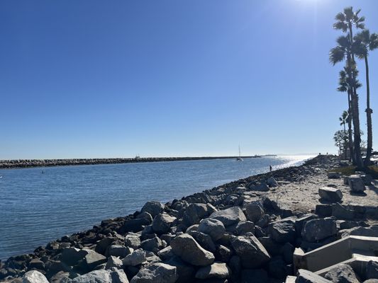 Alamitos Park by null