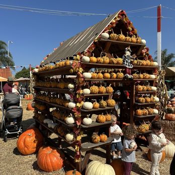 Shawn's Pumpkin Patch - Pumpkin Patches Near Me - Culver City , California
