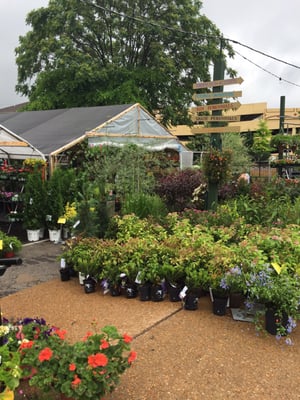 Farmers market in Kirkwood by null