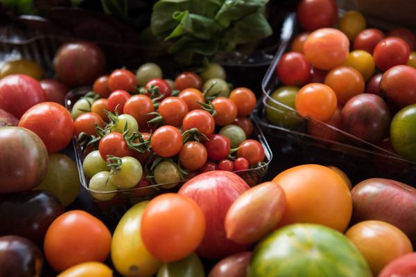 The Chef's Garden by null