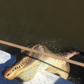 Airboat Adventures - Boat Tours Near Me - Lafitte, Louisiana